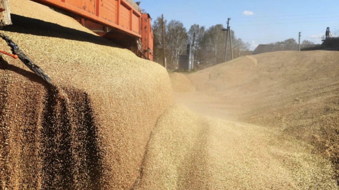 Romania lider mondial la importul de cereale ucrainene