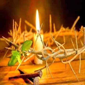 Acasă 82 coroana spini ZD