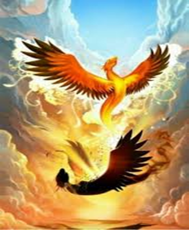 Phoenix SG
