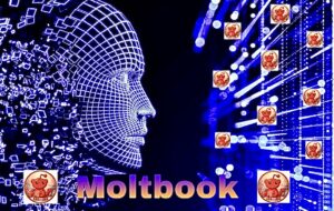 Acasă 73 Moltbook LD