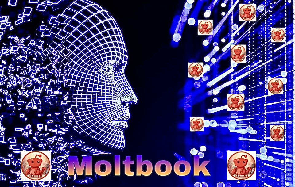 Acasă 121 Moltbook LD